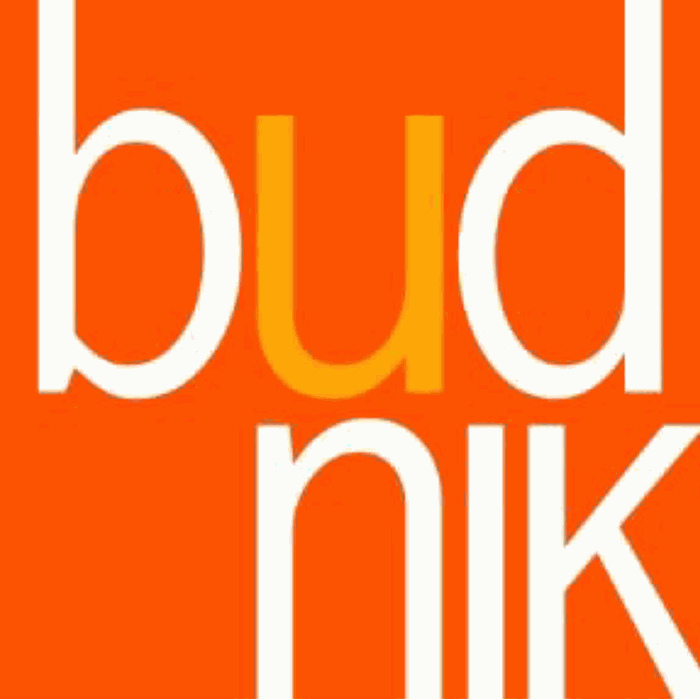 Sitio web Budnik